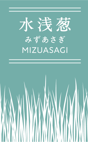 水浅葱 みずあさぎ MIZUASAGI